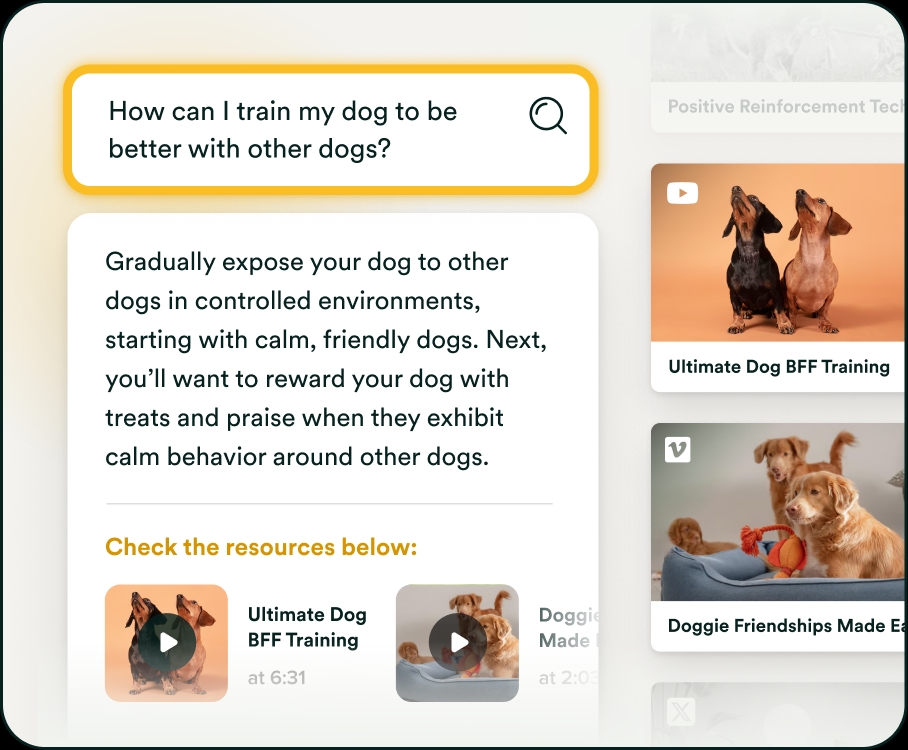AI-powered search results and instant answers