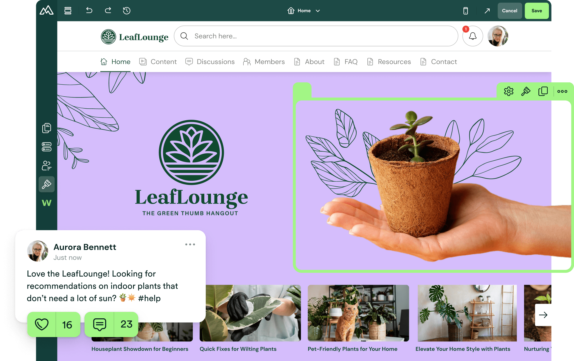 LeafLounge platform showing a post asking for indoor plant recommendations and an image of a small plant in a pot.