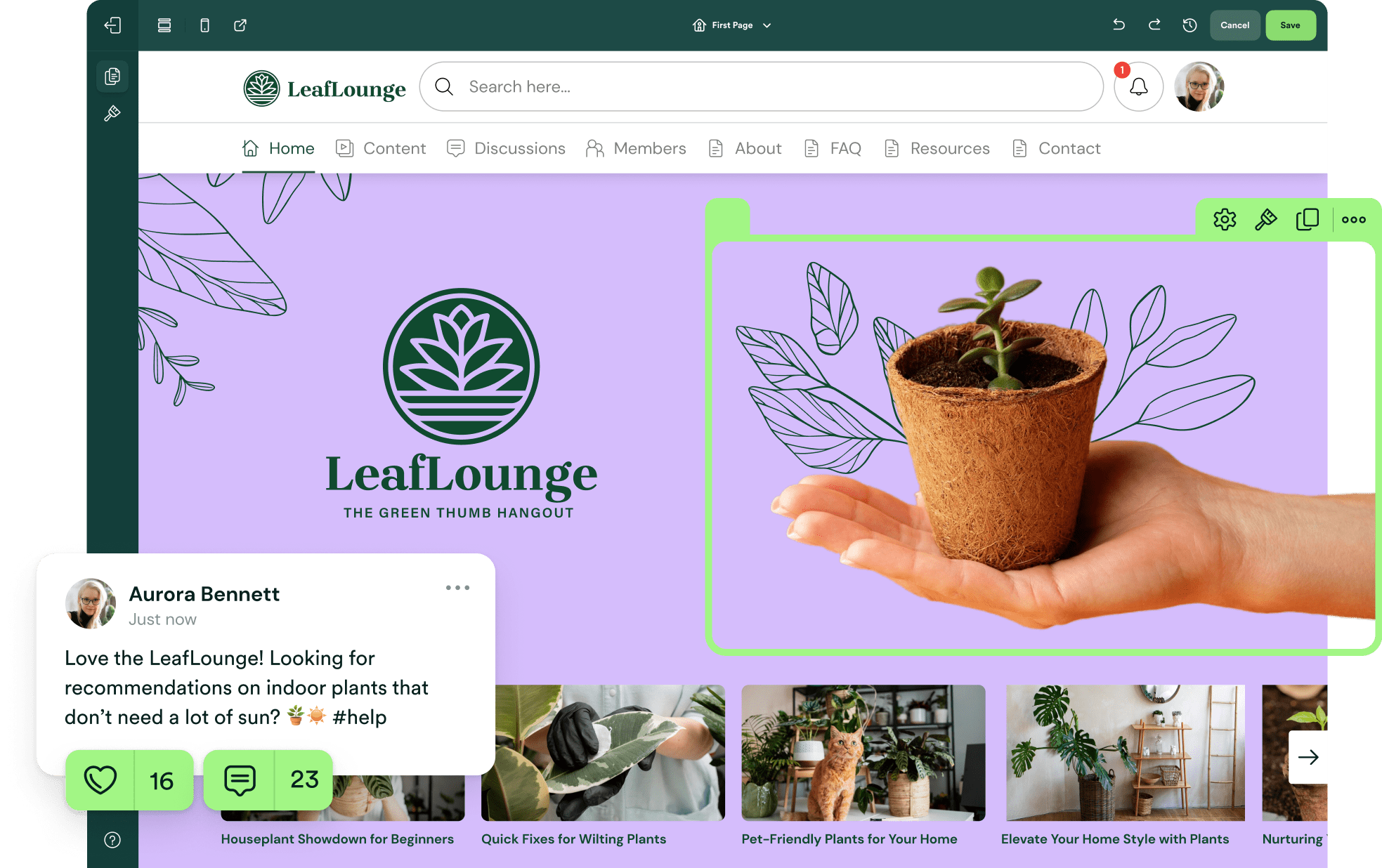 LeafLounge platform showing a post asking for indoor plant recommendations and an image of a small plant in a pot. LeafLounge platform showing a post asking for indoor plant recommendations and an image of a small plant in a pot.