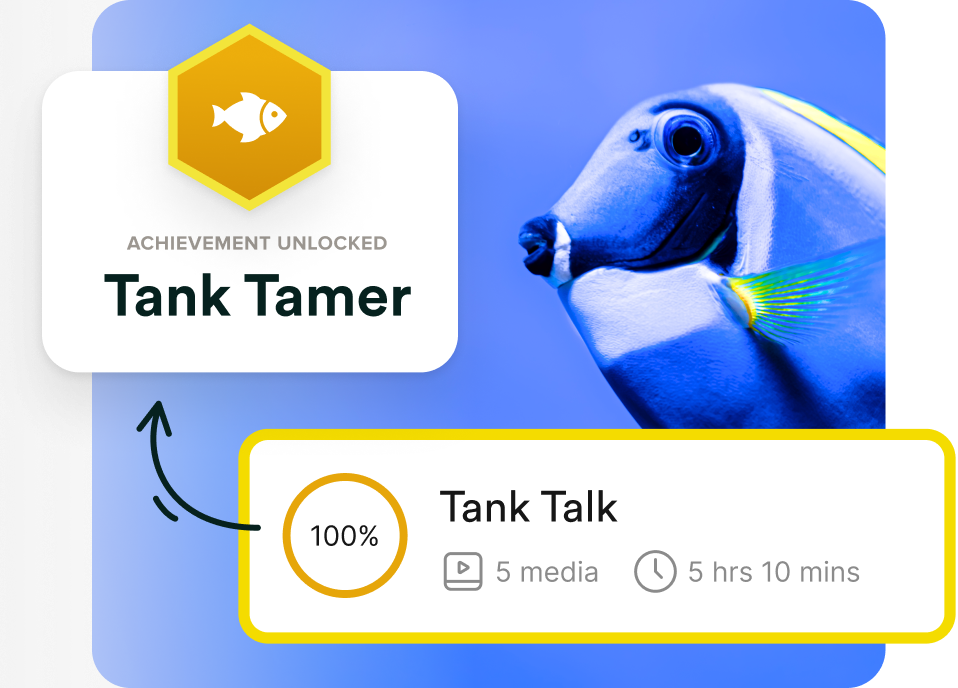 Achievement unlocked: Tank Tamer, with a completed 'Tank Talk' course showing 100% progress, 5 media items, and 5 hours 10 minutes.