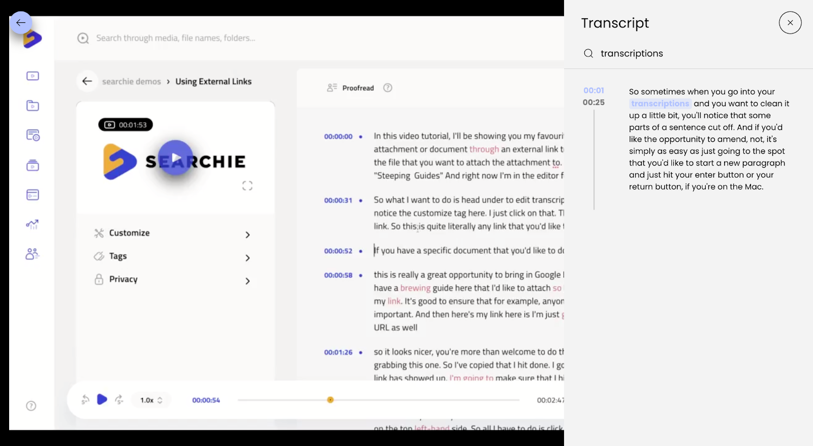 Enhance Your Digital Products & Online Information Business. Image of Media File transcriptions being searched through inside a Searchie account.