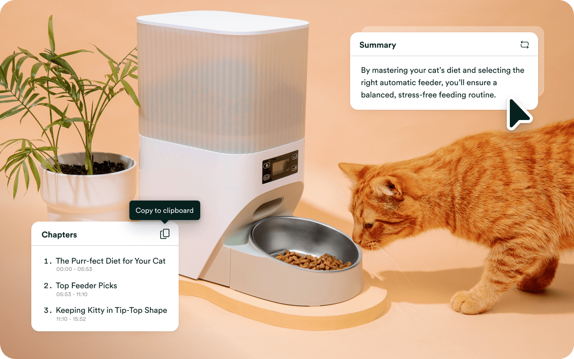 Orange cat eating from an automatic feeder next to a plant, with a summary about mastering your cat's diet and feeding routine.